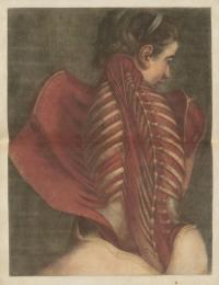 Myologie Complette en Couleur
